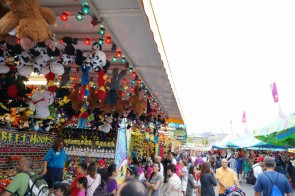 たくさんのゲームと商品のぬいぐるみ